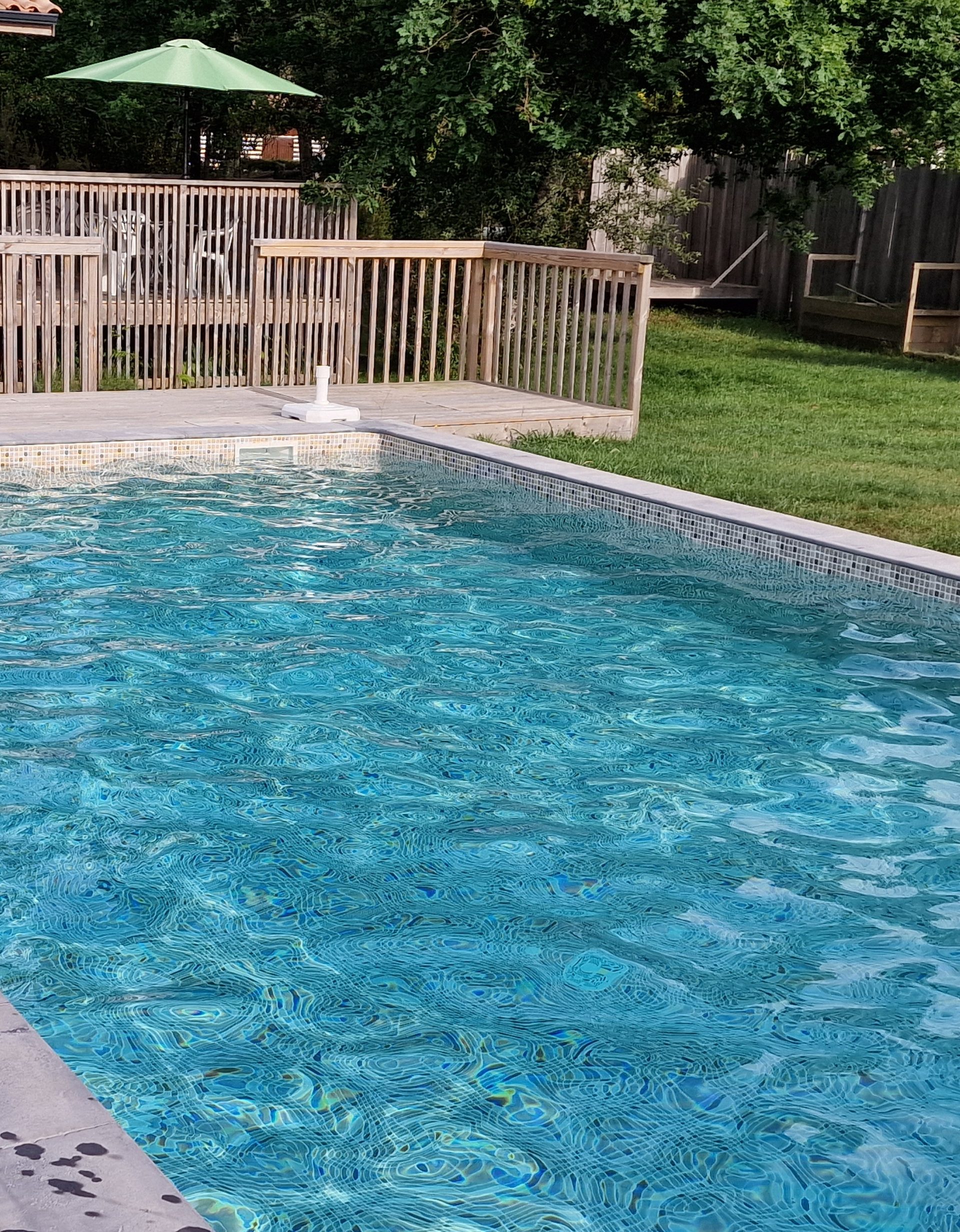 Grande Piscine 11x5 m